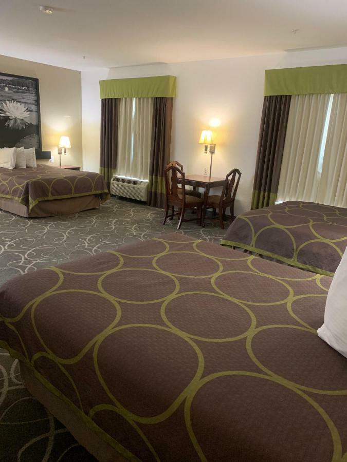 Hotel Super 8 By Wyndham Hillsboro Tx Exteriér fotografie